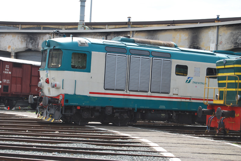  Locomotive a Torino Smistamento 2013: Motrice Diesel 445 