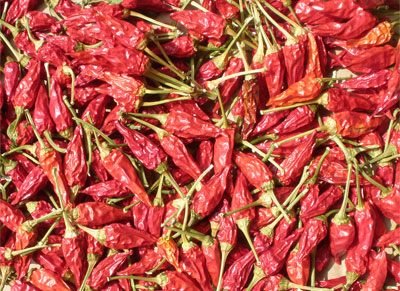  Peperoncino Piccante 